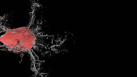 A balloon with water inside explodes in slow motion	 Stock Footage 106673211