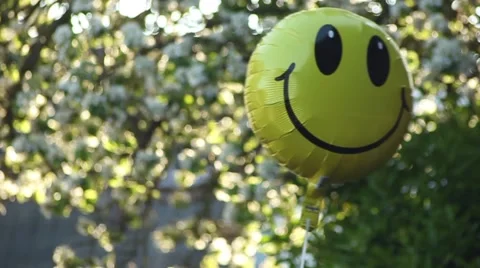 Balloon in the wind Stock Footage 49464904
