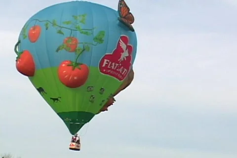 Balloonfest 10 Stock Footage