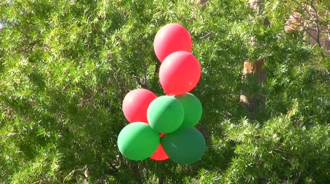 Balloons-1 Stock Footage 576784