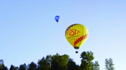 Balloons and trees Stock Footage 56576071