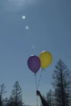 Balloons on a blue sky background with sun highlights 스톡 사진