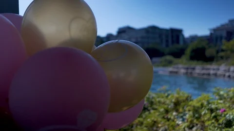 Balloons Colorful Stock Footage