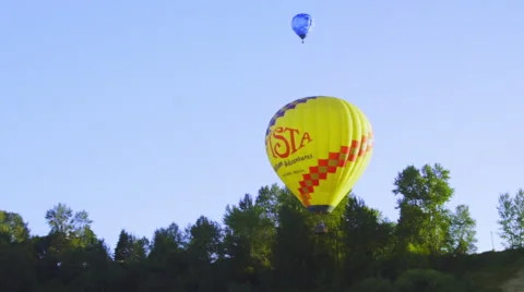 Balloons floating by trees Stock Footage 56577404