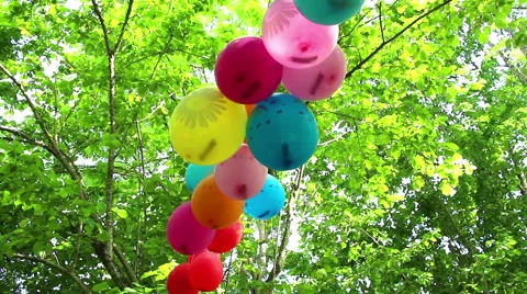 Balloons flutter  in the wind on the green foliage background Stock Footage 54166435