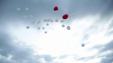 Balloons fly into the sky Stock Footage 81319778