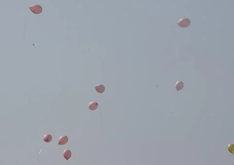 Balloons fly in the sky Fotos Stock