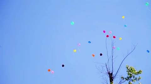 Balloons flying in the sky on the background of dry wood Stock Footage 53753179