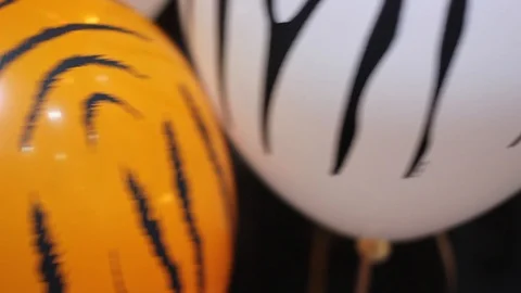 Balloons with Jungle Patterns Stock Footage 92966064
