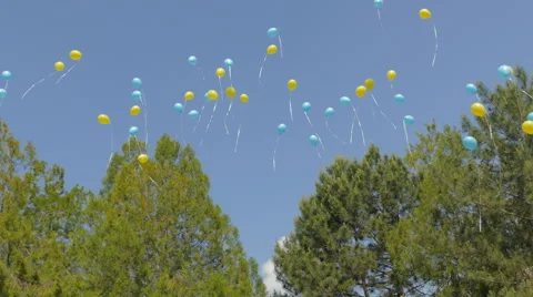 Balloons launched into the sky Stock Footage 63486665