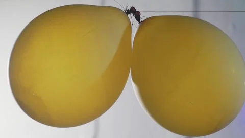 Әдемі секс фотосуреттерінің галереясы