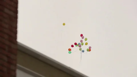Balloons in sky Stock Footage 77049078