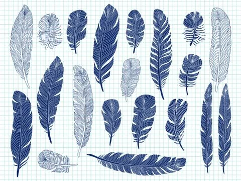 Ballpoint pen drawing bird feathers big set on notebook background Ilustración de archivo