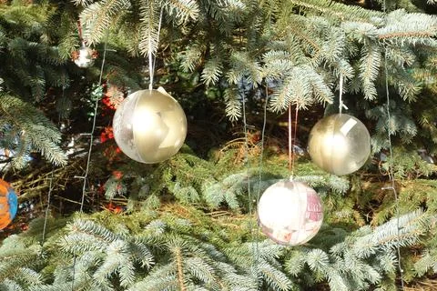 Balls as christmas tree decorations Stock Photos