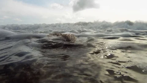 Balls of Neptune Grass, also called Egapropili, hit by the waves on the shore. Stock Footage 126960143