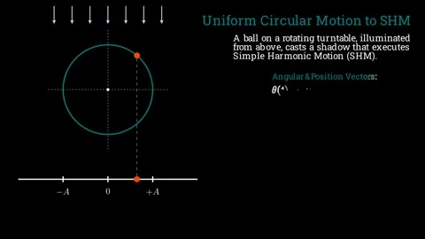 The ball's shadow moves like a particle in SHM 스톡 동영상 335764390