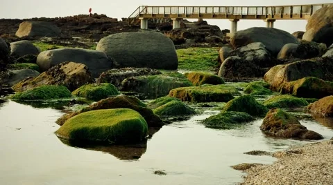 Ballycastle, evening light at the beach and bridge, Northern Ireland Stock Footage 64208490