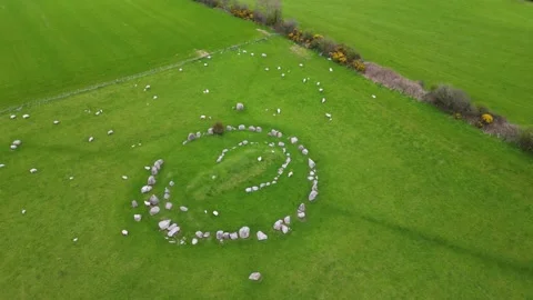 Ballynoe Stone Circle with sheep high orbit Stock Footage 238699742