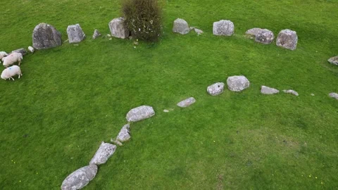 Ballynoe Stone Circle with sheep inside Stock Footage 238699653