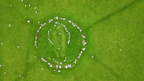Ballynoe Stone Circle with sheep looking down rotate clockwise Stock Footage 238699934