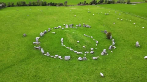 Ballynoe Stone Circle with sheep low orbit Stock Footage 238699427