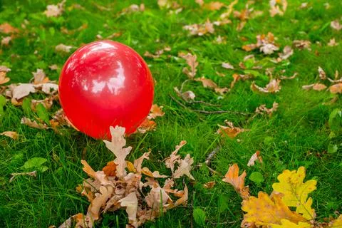 Baloon on the grass Stock Photos
