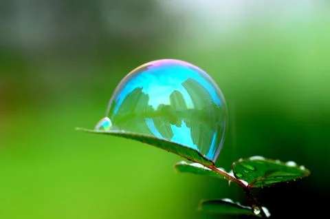 Baloon on a Leaf with great Reflection Stock Photos