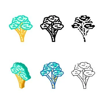 Balsa variations jungle amazon color icon vector Stock Illustration