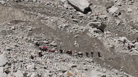 Baltaro Glacier K2 스톡 동영상 78883693