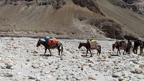 Baltaro Trek 스톡 동영상 78883720