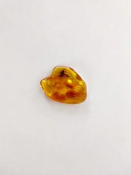 Baltic amber Stock Photos