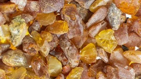 Baltic amber with visible details. background or textura Stock Footage 313888348