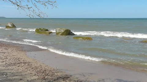 Baltic beach 動画素材 11054621