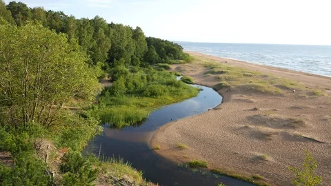 Baltic Beach Stock Footage 115134100