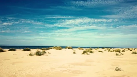 Baltic beach Stock Footage 138654247