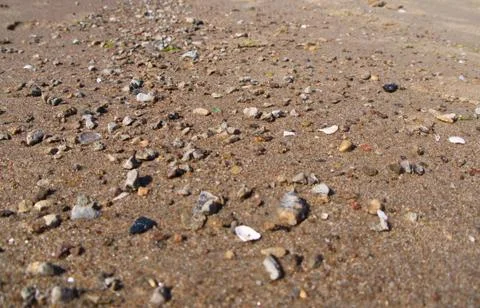 Baltic beach sand close up Foto stock