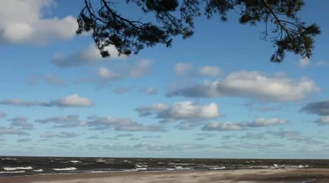 Baltic coast. Stock-Footage 12495708