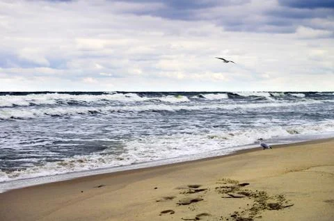 The Baltic Coast Stock Photos