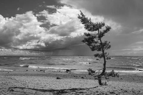 Baltic coast Stock Photos