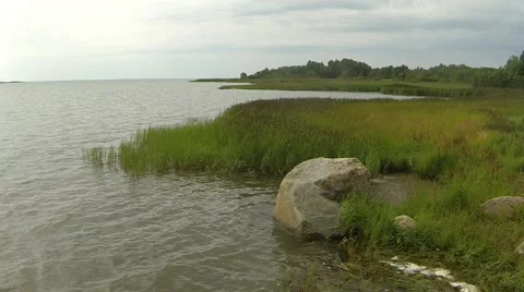 Baltic coastline with reed Stock Footage 52999623