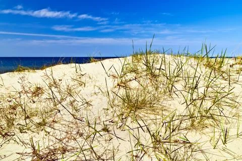 Baltic dunes Stock Photos