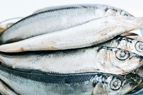 Baltic herring  close up Stock Photos