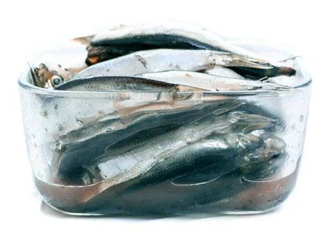 Baltic herring on white background Stock Photos