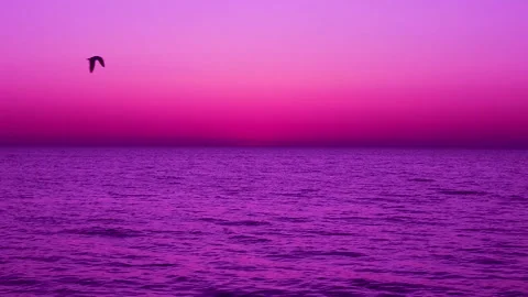 Baltic sea after sunset. Dark sea water. Flying birds in the sky. Real time. 스톡 동영상 155196003