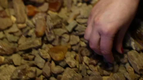 Baltic Sea Amber Stock-Footage 22025087