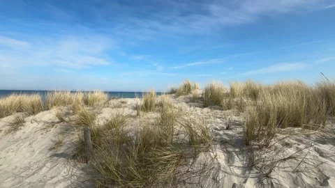 Baltic Sea beach dunes, Graal-Mritz, Germany: sunny sky and coastal scenery. Stock Footage 313953845