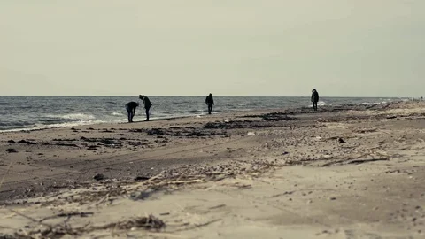 Baltic sea beach Stock Footage 74611213
