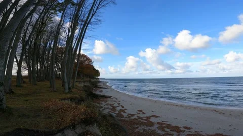 Baltic sea coast Stock Footage 163204838