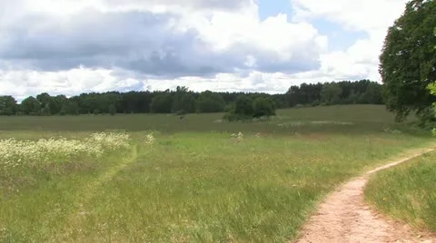 Baltic Sea Coast, Germany Video stock 11905926