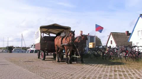 Baltic Sea Coast, Germany 스톡 동영상 11906689
